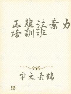 正规注意力训练培训班