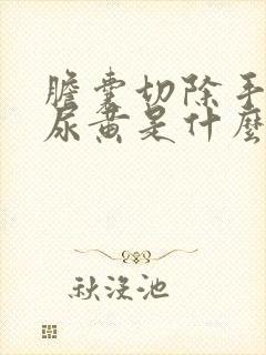 胆囊切除手术后尿黄是什么原因