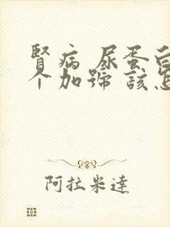 肾病 尿蛋白3个加号 该怎么办