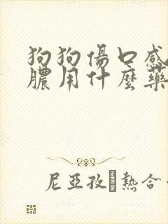 狗狗伤口感染化脓用什么药好得快