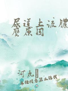 尿道上流脓是怎么原因