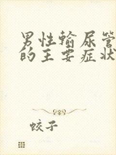 男性输尿管结石的主要症状有哪些