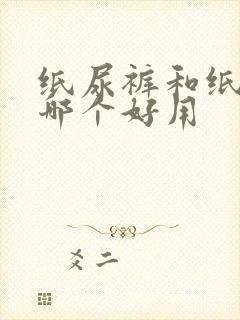 纸尿裤和纸尿片哪个好用