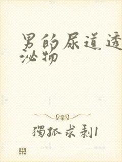 男的尿道透明分泌物