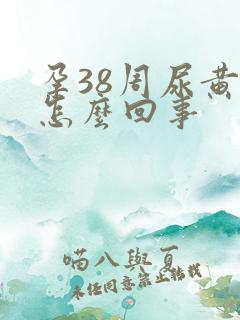 孕38周尿黄是怎么回事