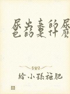 尿出来的尿是红色的是什么原因