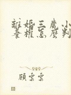 离婚三岁小孩抚养权怎么判定