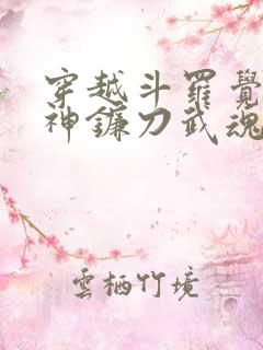 穿越斗罗觉醒死神镰刀武魂的小说