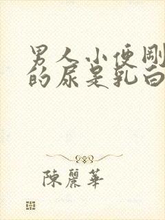 男人小便刚开始的尿是乳白色