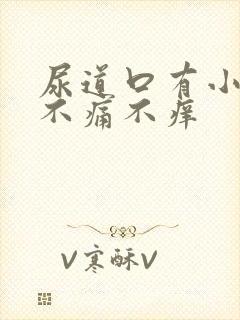 尿道口有小肉粒不痛不痒