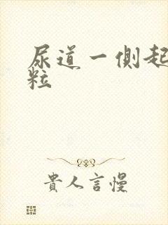 尿道一侧起小肉粒