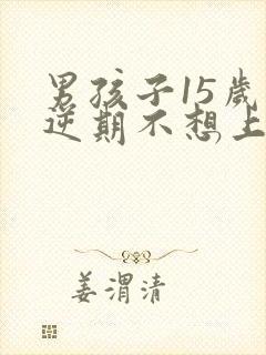 男孩子15岁叛逆期不想上学怎么办