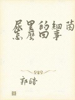 尿里的细菌高是怎么回事