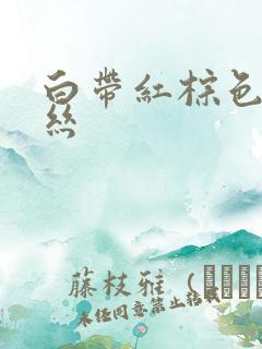 白带红棕色带血丝