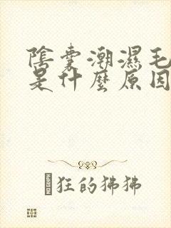 阴囊潮湿毛瘙痒是什么原因造成的