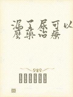 漏了尿可以吃什么药治疗