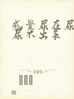 感觉尿在尿道口尿不出来