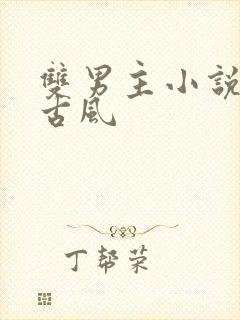 双男主小说推文古风