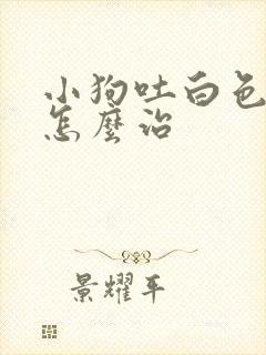 小狗吐白色粘液怎么治