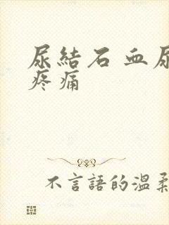 尿结石 血尿 疼痛