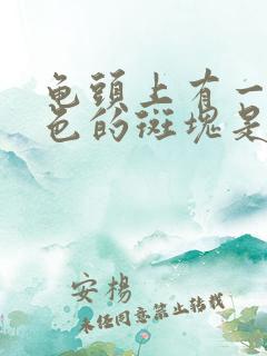 龟头上有一个黑色的斑块是怎么回事