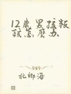 12岁男孩叛逆该怎么办