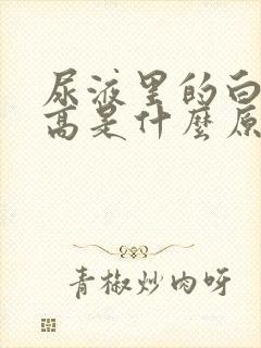 尿液里的白细胞高是什么原因