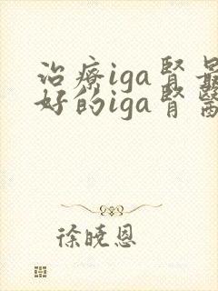 治疗iga肾最好的iga肾医院