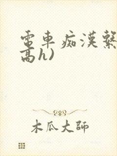 电车痴汉系列(高h)