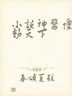 小说神医傻妃名动天下