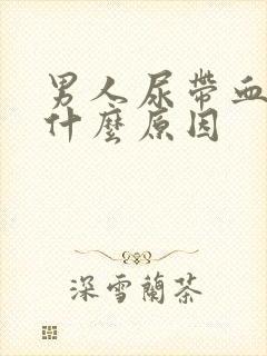 男人尿带血色是什么原因