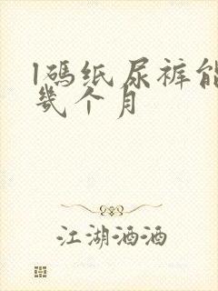 l码纸尿裤能用几个月