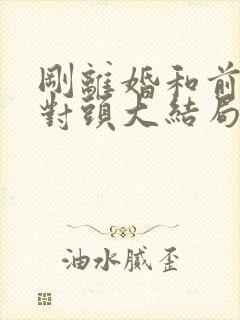 刚离婚和前妻死对头大结局