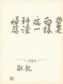 妇科病白带像豆腐渣一样是什么病