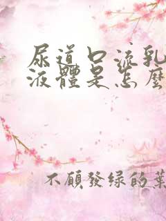 尿道口流乳白色液体是怎么回事