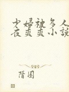 少妇被多人c夜夜爽爽小说