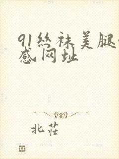 91丝袜美腿性感网址
