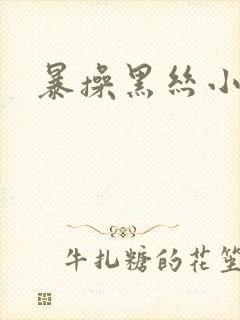 暴操黑丝小萝莉