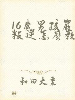 16岁男孩严重叛逆怎么教育