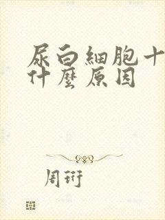 尿白细胞十2是什么原因