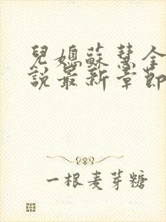 儿媳苏慧全本小说最新章节