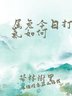 属兔今日打牌运气如何