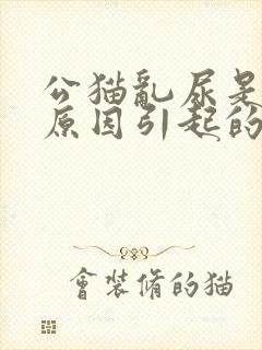 公猫乱尿是什么原因引起的