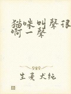 猫咪叫声很短就啊一声