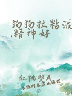 狗狗拉粘液带血,精神好