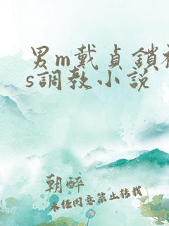 男m戴贞锁被女s调教小说