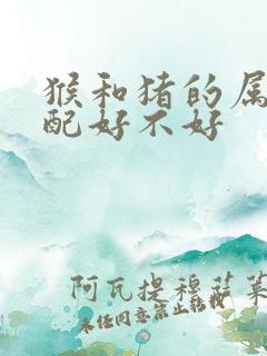 猴和猪的属相婚配好不好