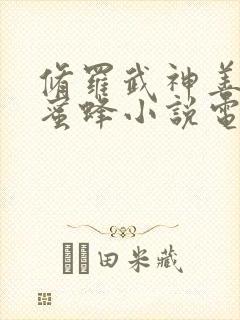 修罗武神善良的蜜蜂小说电子书全集