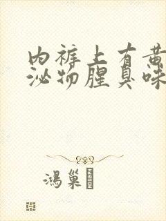 内裤上有黄色分泌物腥臭味