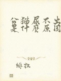 公猫尿不出来尿是什么原因